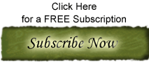 Subscribe - myfriendDebbie.com