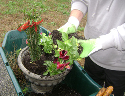 My Friend Debbie - Winter Planter Garden