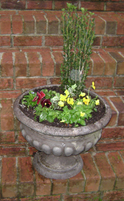 My Friend Debbie - Winter Planter Garden