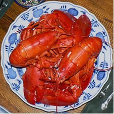 myFriendDebbie.com - Travel - Lobster