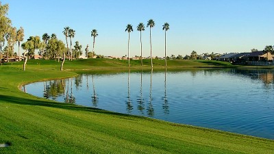 My Friend Debbie - Winter in Arizona