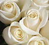 My Friend Debbie - Why Doesn't He Give Me Flowers Anymore?