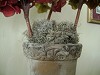 My Friend Debbie - Decorating Secret: Spanish Moss