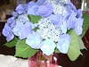 My Friend Debbie - Touches of Thoughtfulness