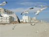 My Friend Debbie - Relaxing in North Myrtle Beach, South Carolina