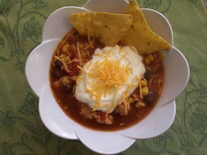 My Friend Debbie - Chicken Salsa Soup