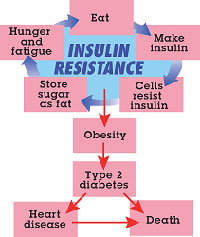 Controlling Insulin â€“ The Best Way to Guard Your Health and Lose Weight