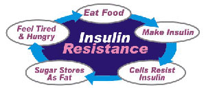 Controlling Insulin â€“ The Best Way to Guard Your Health and Lose Weight