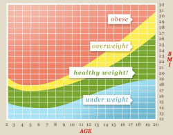 Controlling Insulin â€“ The Best Way to Guard Your Health and Lose Weight