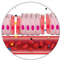 My Friend Debbie - Leaky Gut Health Problem